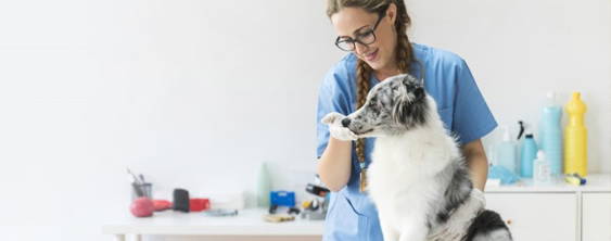 Animals Requiring Medication