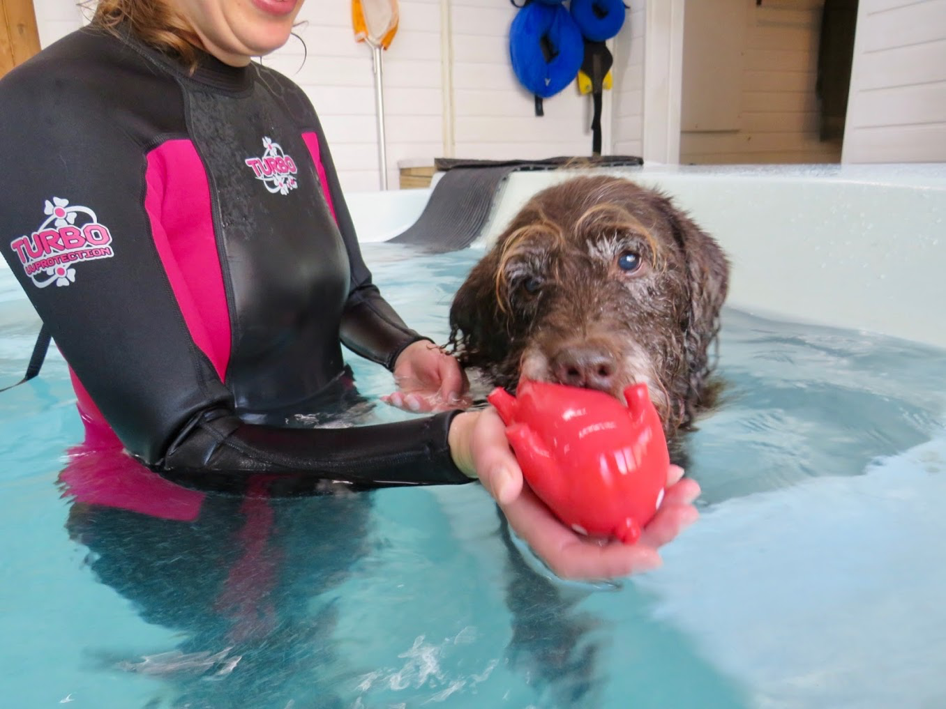 Hydrotherapy Support