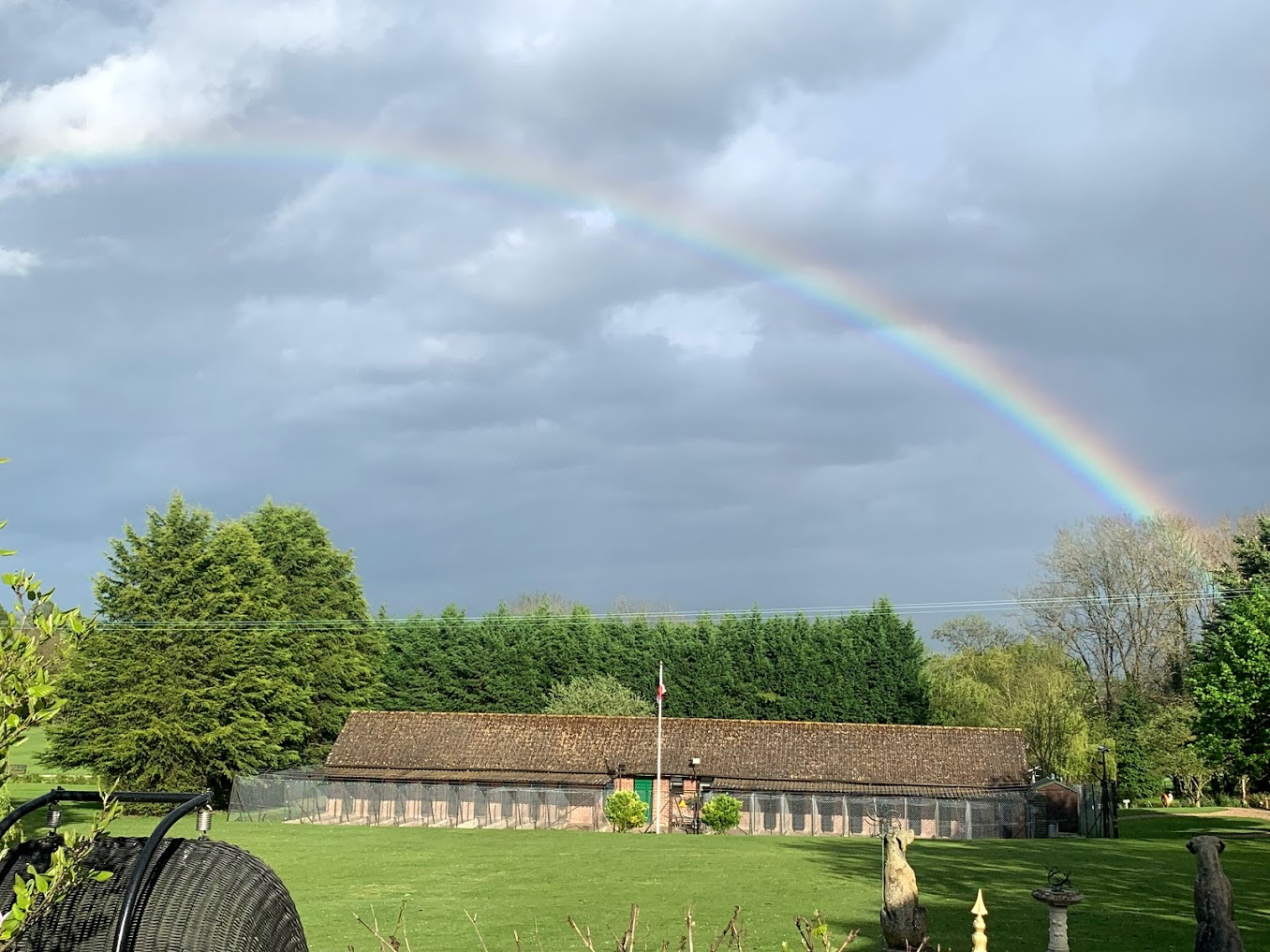 Crossways phased plan to reopen Boarding and Grooming safely on 18th May