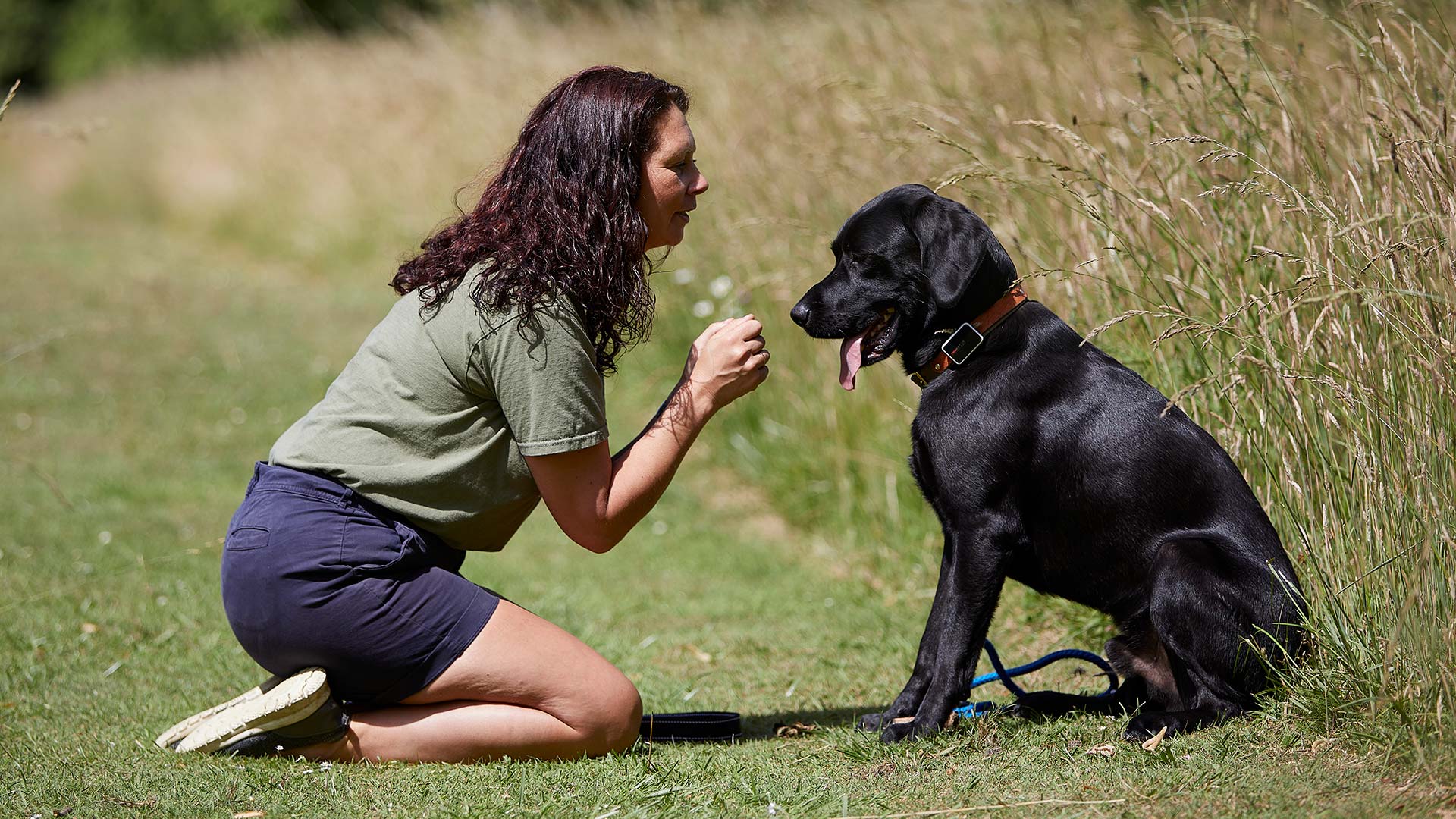 Crossroads kennels dog training hotsell